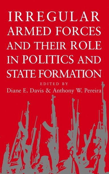 bokomslag Irregular Armed Forces and their Role in Politics and State Formation