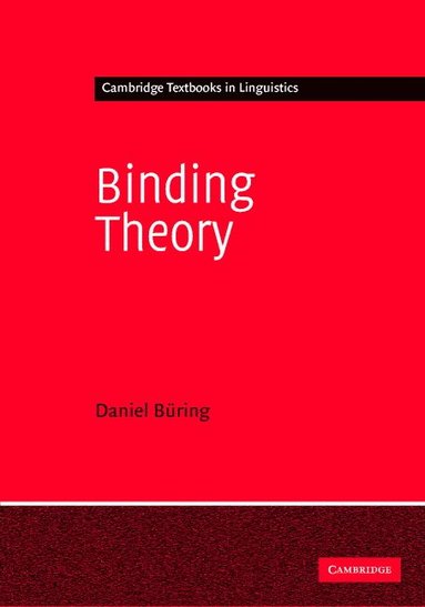 bokomslag Binding Theory