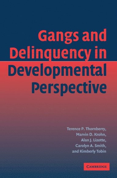 bokomslag Gangs and Delinquency in Developmental Perspective