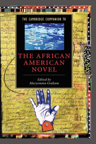 bokomslag The Cambridge Companion to the African American Novel