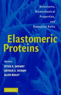 bokomslag Elastomeric Proteins