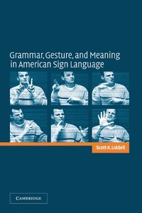 bokomslag Grammar, Gesture, and Meaning in American Sign Language
