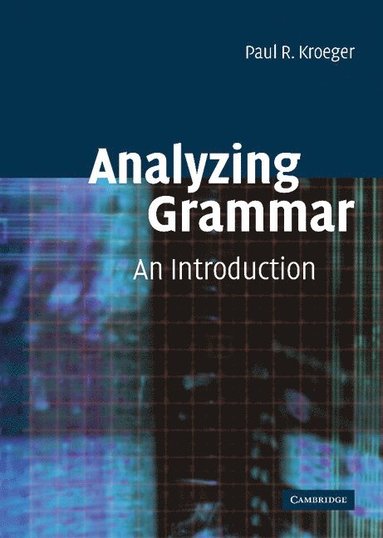 bokomslag Analyzing Grammar