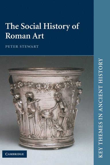 bokomslag The Social History of Roman Art