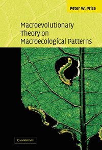 bokomslag Macroevolutionary Theory on Macroecological Patterns