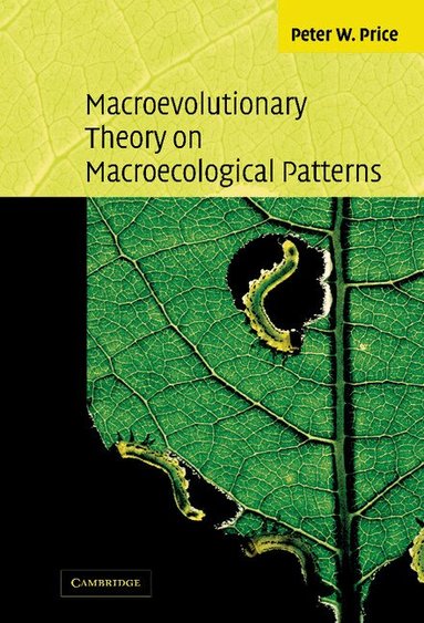 Peter W. Price - Macroevolutionary Theory on Macroecological Patterns, Inbunden