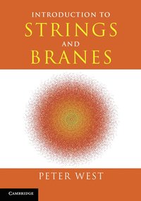 bokomslag Introduction to Strings and Branes