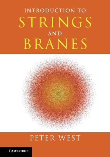 bokomslag Introduction to Strings and Branes