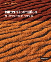 bokomslag Pattern Formation