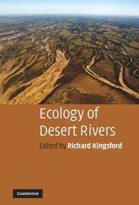 bokomslag Ecology of Desert Rivers