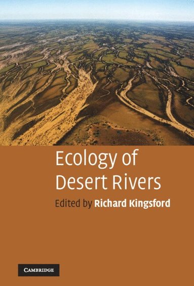 bokomslag Ecology of Desert Rivers