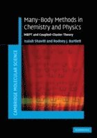 bokomslag Many-Body Methods in Chemistry and Physics