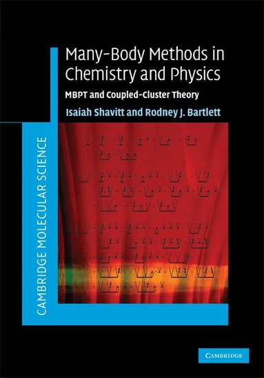 Isaiah Shavitt, Rodney J. Bartlett - Many-Body Methods in Chemistry and Physics, Inbunden