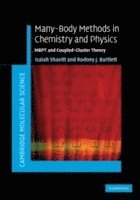 Many-Body Methods in Chemistry and Physics 1