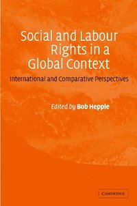 bokomslag Social and Labour Rights in a Global Context