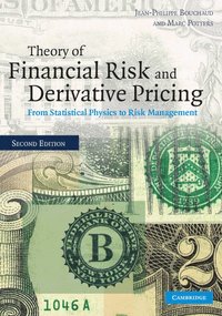 bokomslag Theory of Financial Risk and Derivative Pricing