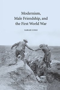 bokomslag Modernism, Male Friendship, and the First World War