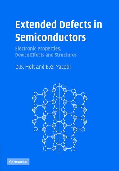 bokomslag Extended Defects in Semiconductors