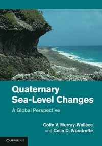 bokomslag Quaternary Sea-Level Changes