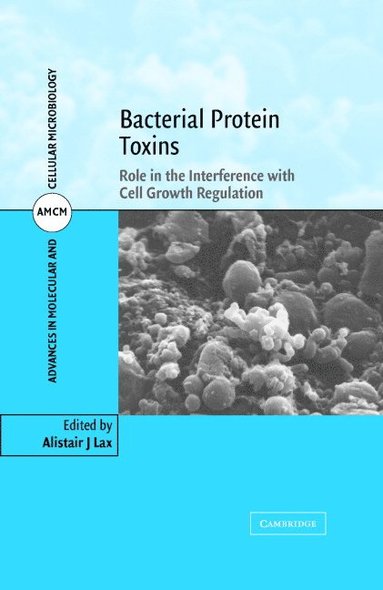 bokomslag Bacterial Protein Toxins