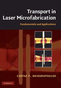 bokomslag Transport in Laser Microfabrication