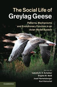 bokomslag The Social Life of Greylag Geese