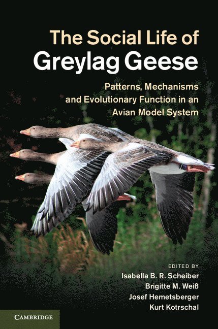 The Social Life of Greylag Geese 1