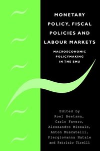 bokomslag Monetary Policy, Fiscal Policies and Labour Markets: Macroeconomic Policymaking in the Emu