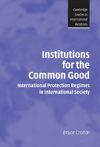 bokomslag Institutions for the Common Good