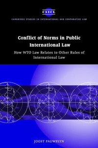 bokomslag Conflict of Norms in Public International Law