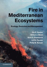 bokomslag Fire in Mediterranean Ecosystems