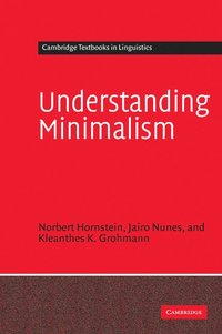 bokomslag Understanding Minimalism