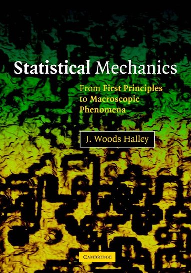 J. Woods Halley - Statistical Mechanics, Inbunden