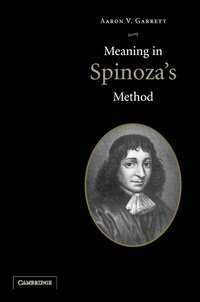 bokomslag Meaning in Spinoza's Method