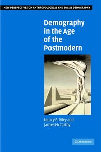 bokomslag Demography in the Age of the Postmodern