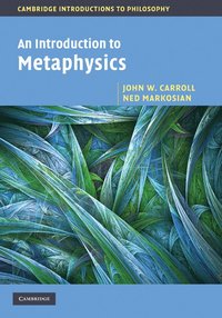 bokomslag An Introduction to Metaphysics