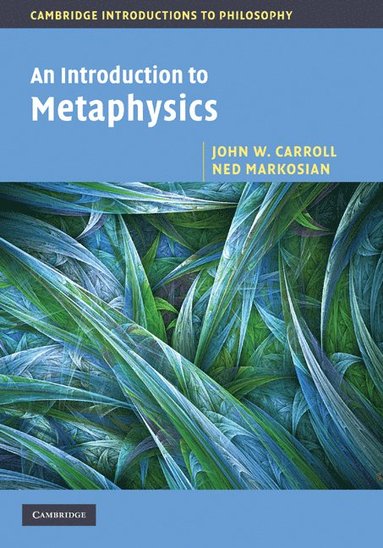 bokomslag An Introduction to Metaphysics