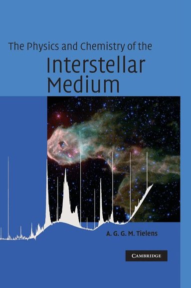A. G. G. M. Tielens - The Physics and Chemistry of the Interstellar Medium, Inbunden