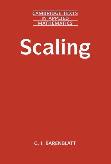 bokomslag Scaling