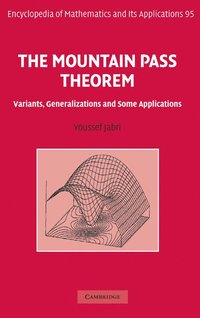bokomslag The Mountain Pass Theorem