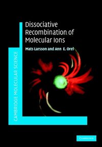 bokomslag Dissociative Recombination of Molecular Ions