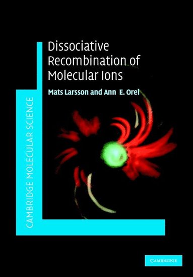 bokomslag Dissociative Recombination of Molecular Ions