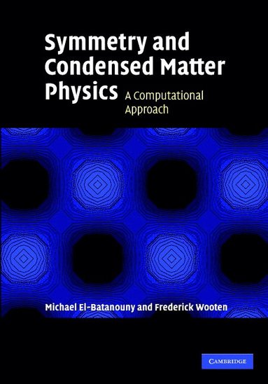 bokomslag Symmetry and Condensed Matter Physics