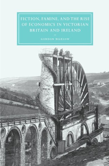 Gordon Bigelow, Gillian Beer - Fiction, Famine, and the Rise of Economics in Victorian Britain and Ireland, Inbunden