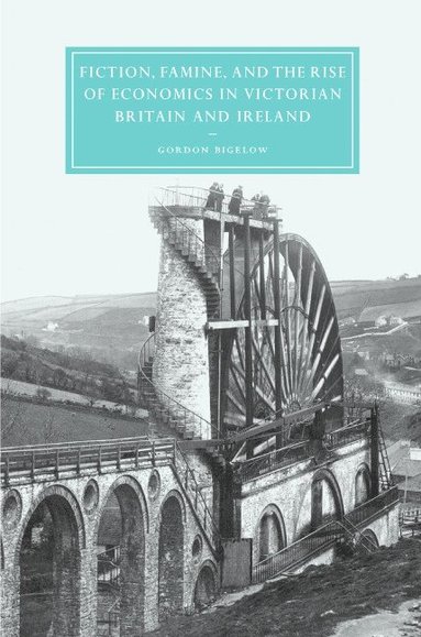 bokomslag Fiction, Famine, and the Rise of Economics in Victorian Britain and Ireland