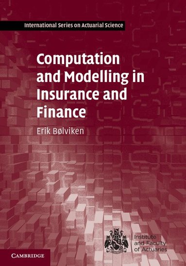 Erik Bølviken - Computation and Modelling in Insurance and Finance, Inbunden
