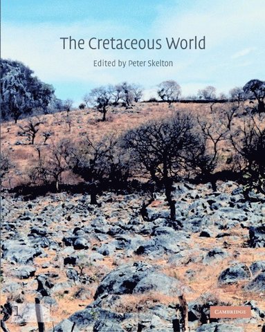 bokomslag The Cretaceous World