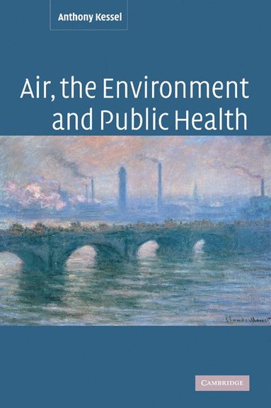 bokomslag Air, the Environment and Public Health