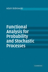 bokomslag Functional Analysis for Probability and Stochastic Processes