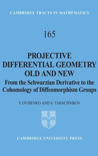 bokomslag Projective Differential Geometry Old and New